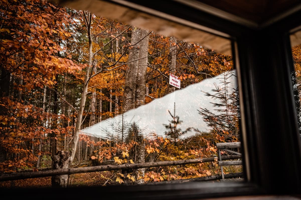 Cabana Haiducului - locatie pentru nunti in Comuna Valea Doftanei, Prahova