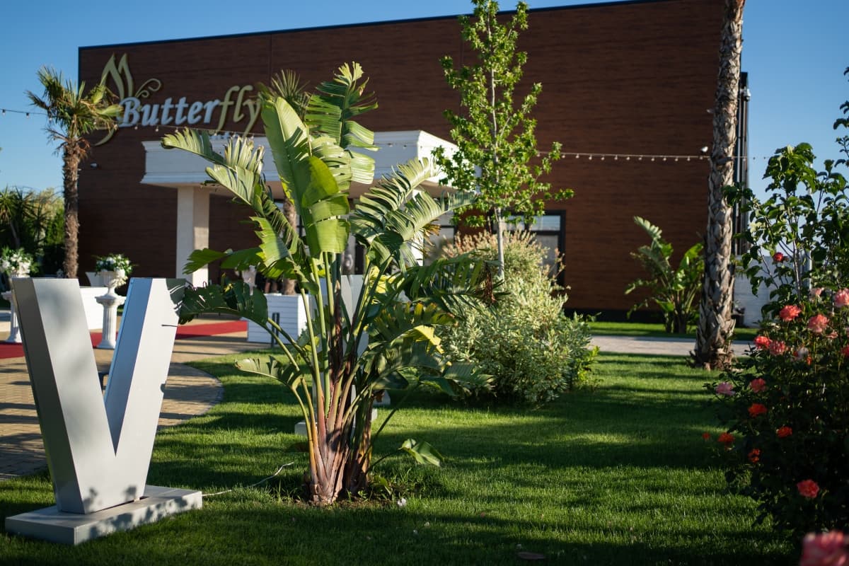 Fotografie de Bacan Alexandru Bogdan la Butterfly Events