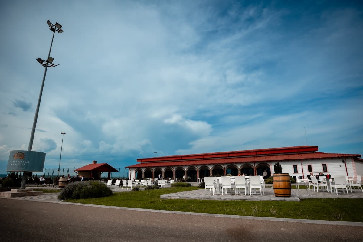 Fotografie de cadre_weddings la Domeniile Panciu