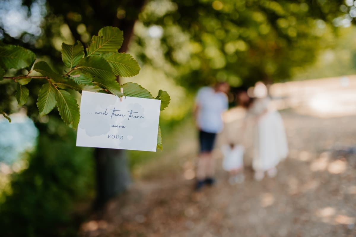 Fotografie de Postolache Daniel la Barajul Paltinu