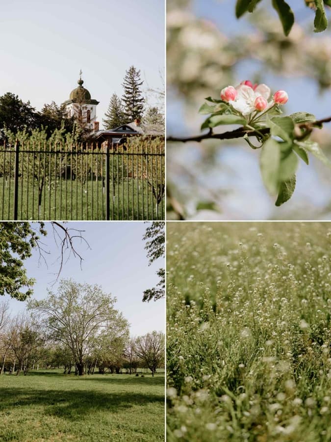 Fotografie de Sfinx Production la Parcul Plumbuita