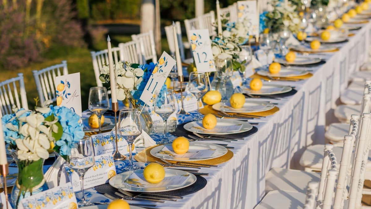 Fotografie de Lens of Alex la Complex Doi Taurasi