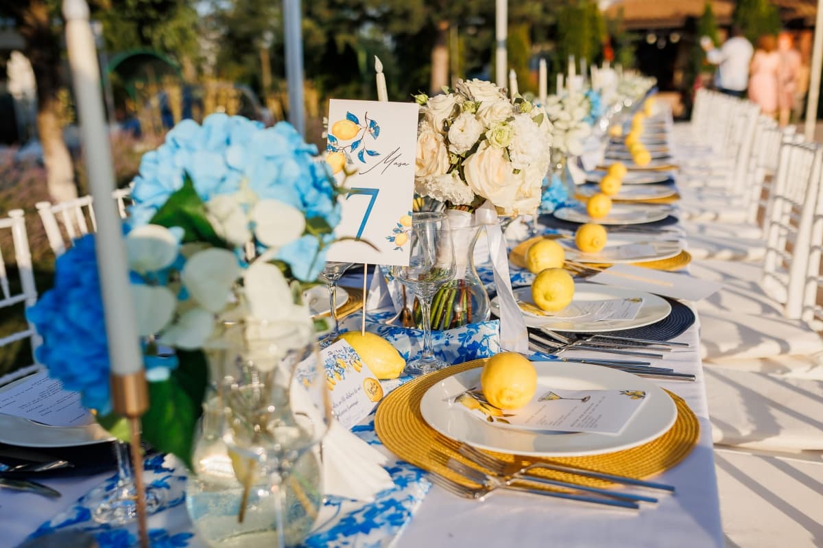 Fotografie de Lens of Alex la Complex Doi Taurasi