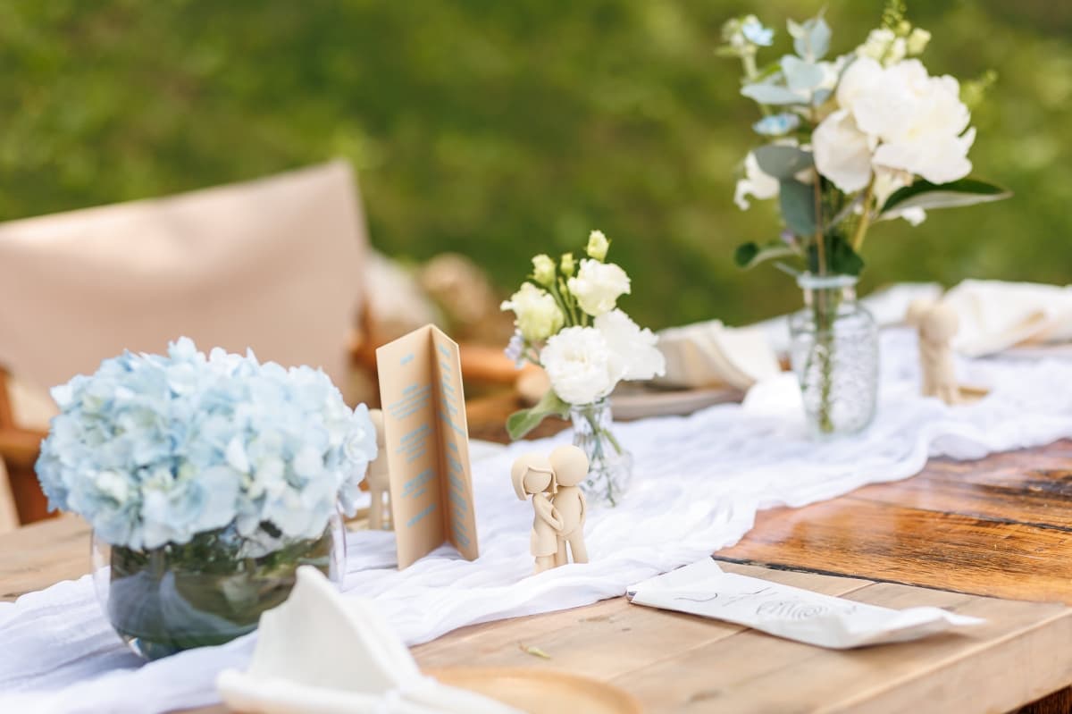 Fotografie de Lens of Alex la Indigen