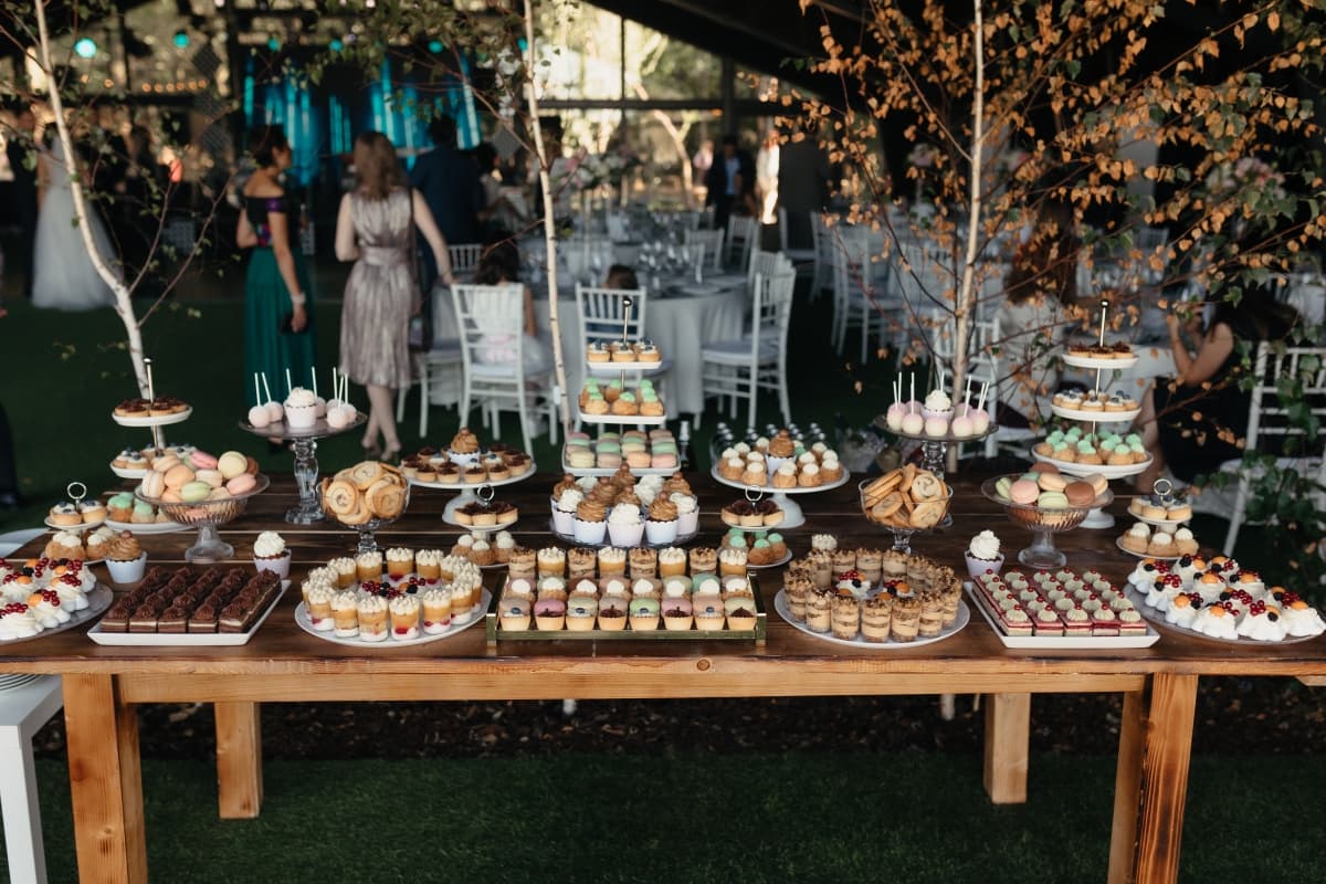 Fotografie de Lens of Alex la Padurile Regale