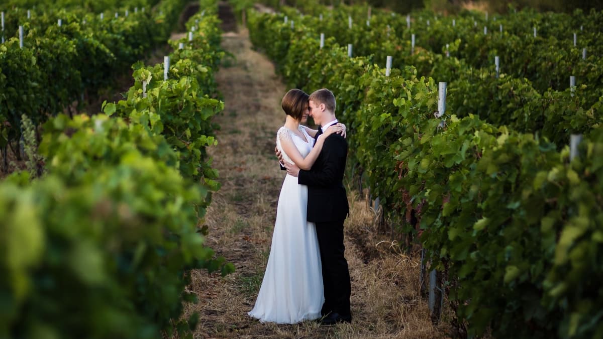 Fotografie de Lens of Alex la Vinalia - Conacul din Ceptura