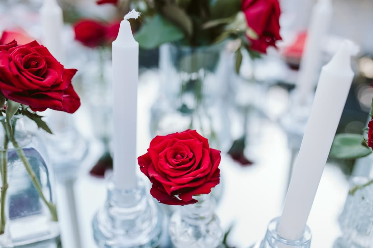 Fotografie de Sorina Elena Rîmbu la Toya Concept