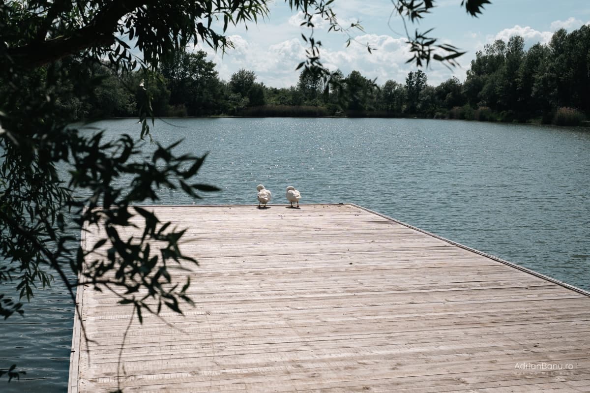 WOW Hambar  - locatie pentru nunti in Domnești, Ilfov