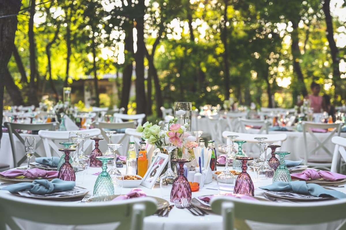 Fotografie de FotoEvent88 - Costi MANOLACHE la Salonul din Padure