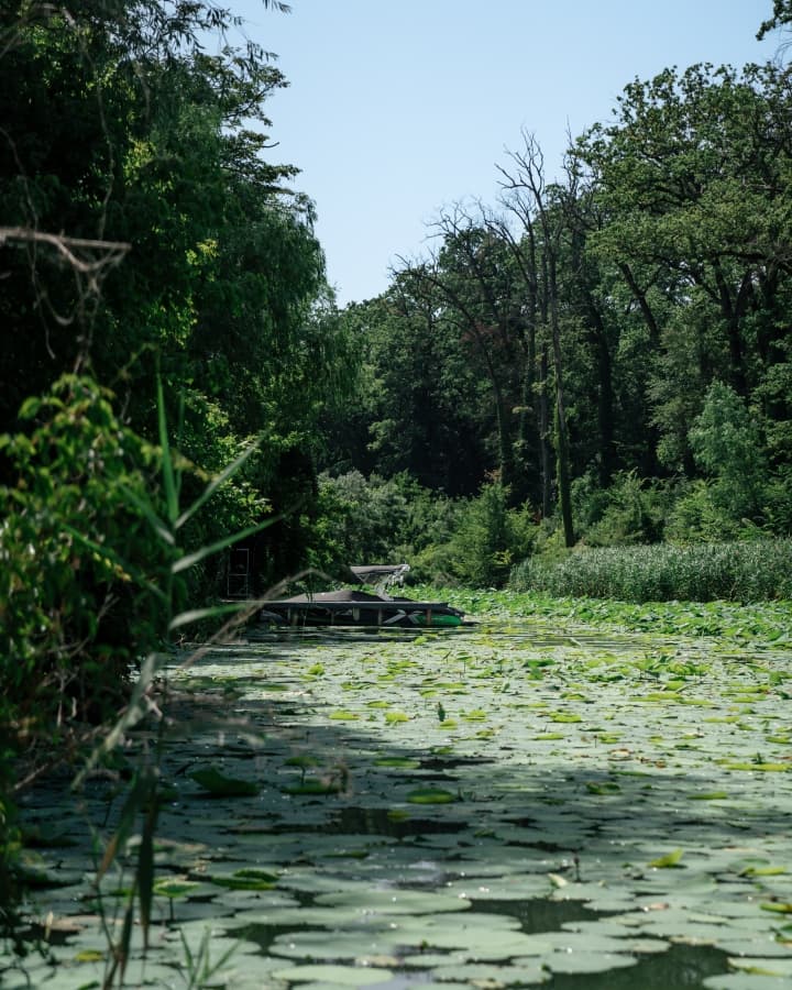 Fotografie de CAPTURRA la Jubile by The Lake