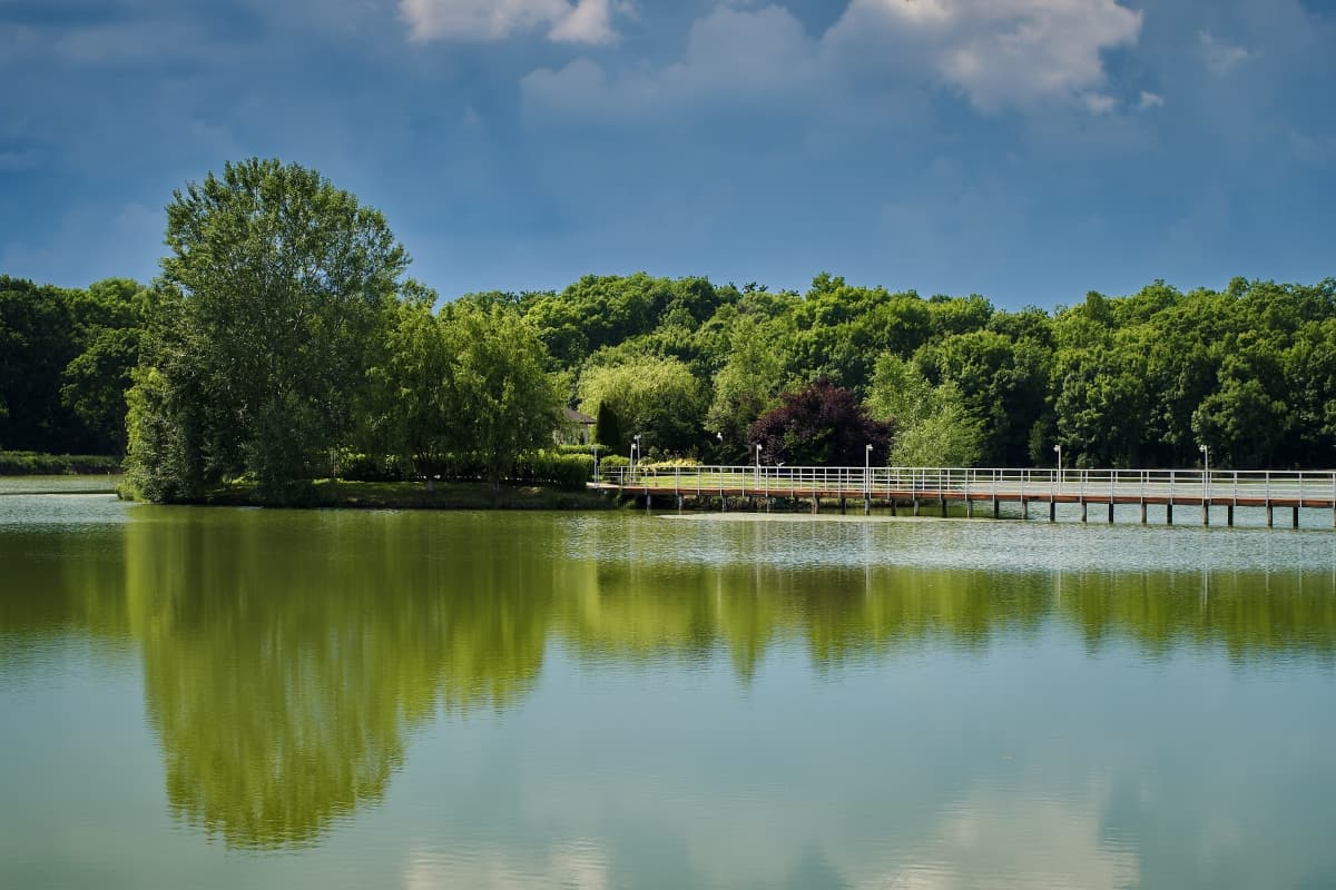 Fotografie de Marius Marcoci la Plaza Summer Club