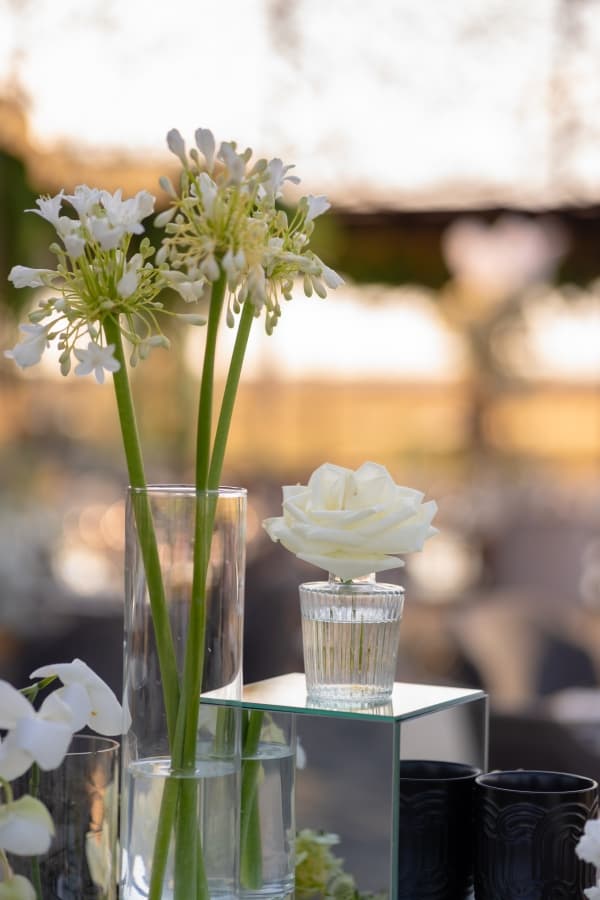 Fotografie de Fotolense la Lebada Neagra Resort