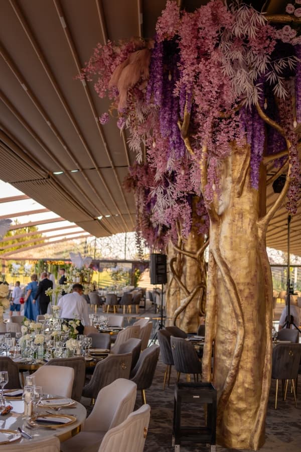 Fotografie de Fotolense la Lebada Neagra Resort