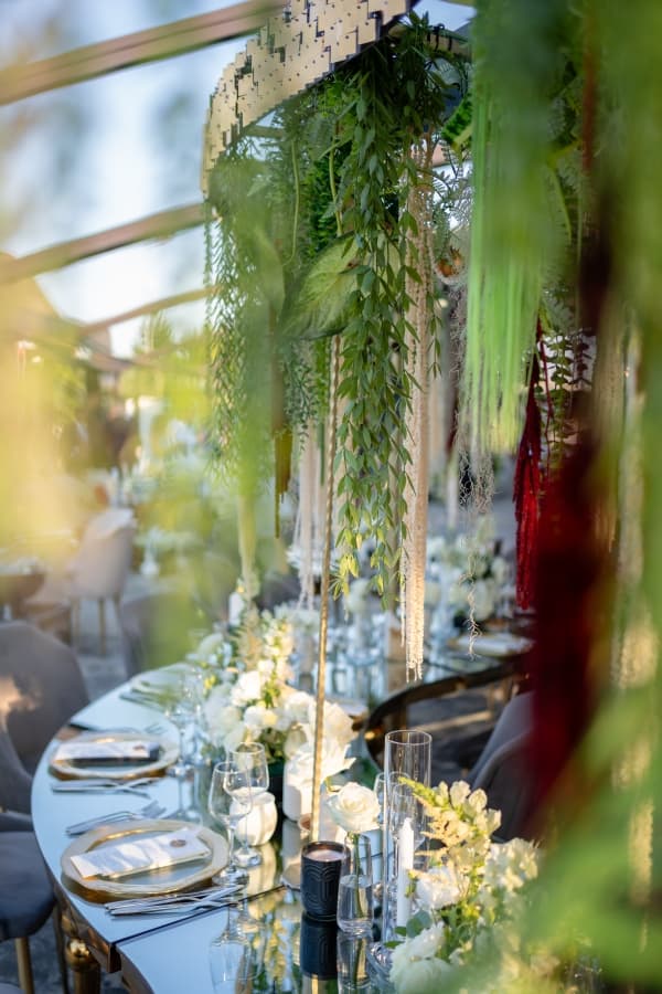 Fotografie de Fotolense la Lebada Neagra Resort