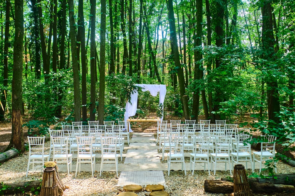 Fotografie de Ionut Draghiceanu la BOHO Forest