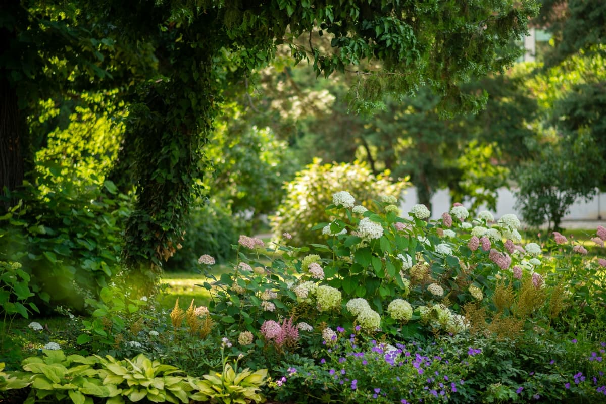 Fotografie de TILO la Restaurant Toni's