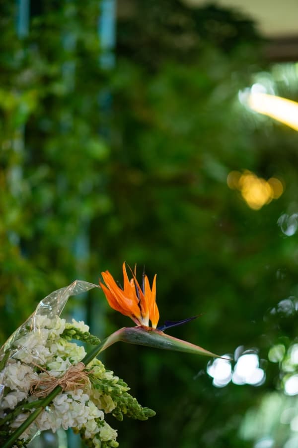 Fotografie de TILO la Restaurant Pescarus