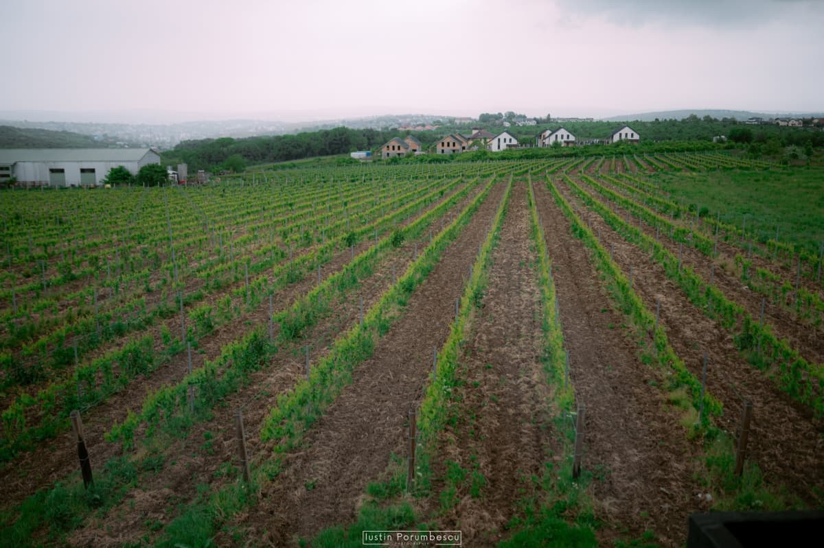 Fotografie de Iustin Porumbescu la Meat Concept Farmhouse