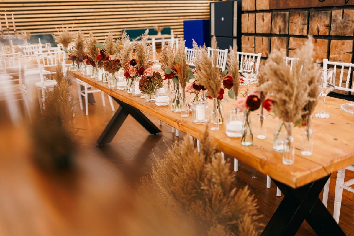 Fotografie de Leu Flavius Fotograf la Backyard Sibiu