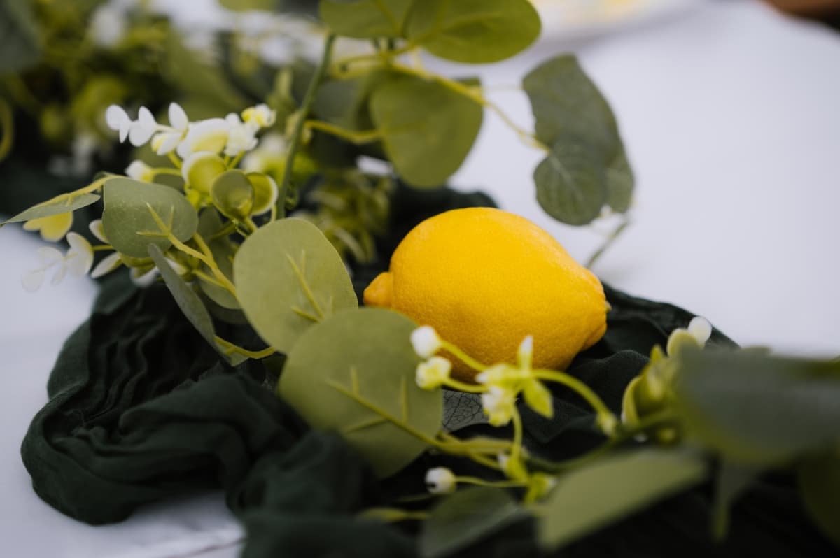 Fotografie de Trifescu Alexandru (VIATA IN FOTOGRAFII) la Sunset By The Farm