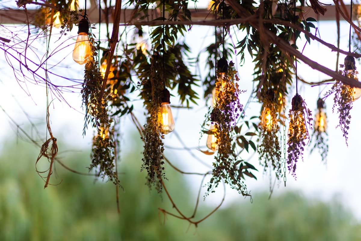 Fotografie de Samfira Laurentiu la Balta lu Petru