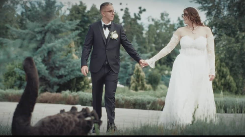 Mădălin & Andra - Fotografii de TrueFrame