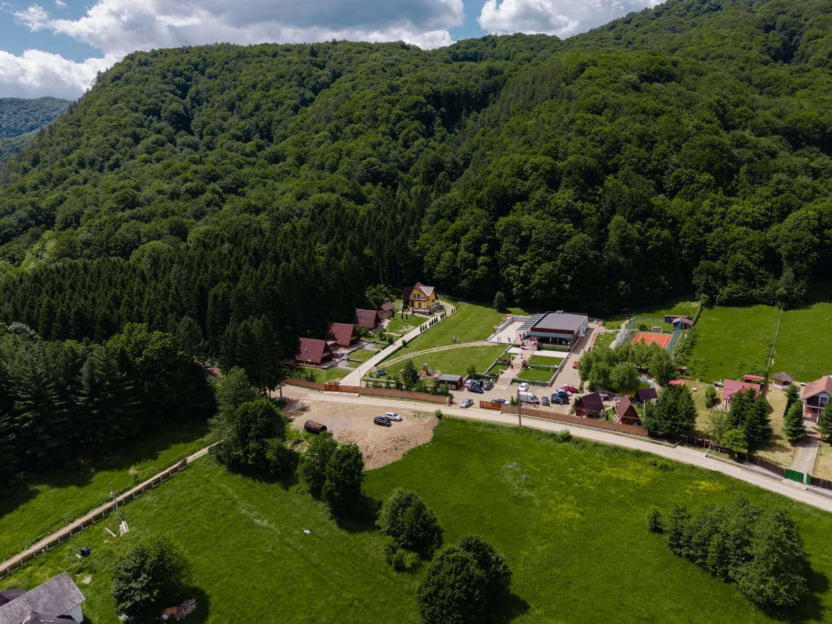 Green Property - Dofteana