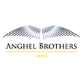 Mentoring online 1:1 - 1 oră <b>Adrian Anghel</b>