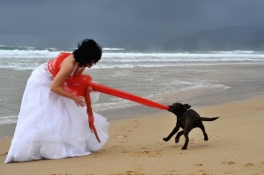 Adelina Dinulescu Photography - Cea mai buna fotografie - Trash The Dress